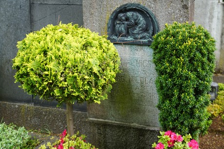 Bad Godesberg
